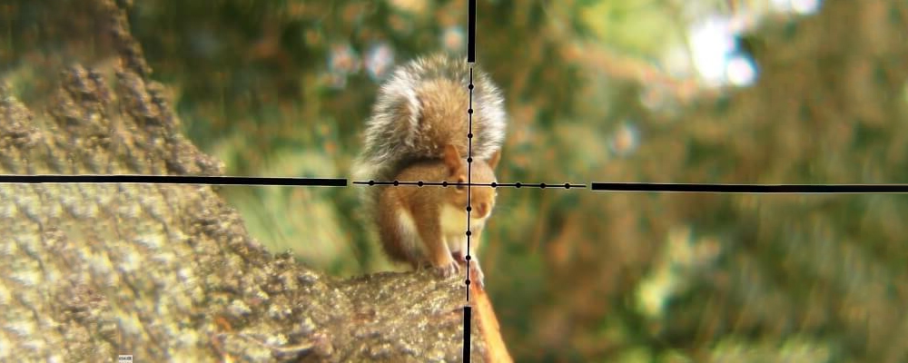 best scope for 22lr squirrel hunting