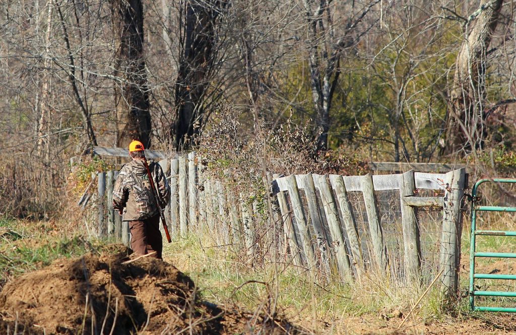 hunter, deer hunting, rifle-67002.jpg