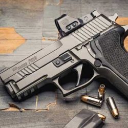 sig p229